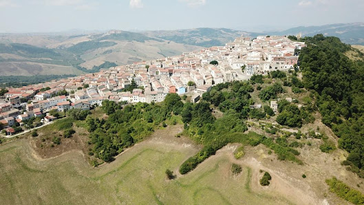 Photo 2 de Panni