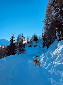 Photo 2 de Pescegallo