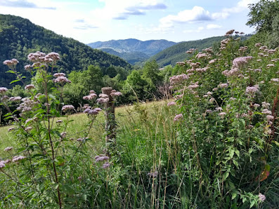 Photo 2 de Freychenet