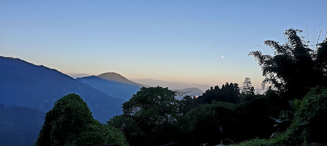Photo 1 de Mahanadi Tea Garden