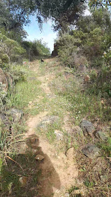 Photo 3 de Alto de la Toba