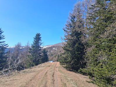 Photo 2 de Baisse de Sanson