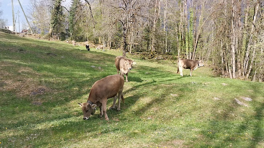 Photo 2 de Schwändi