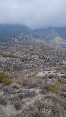 Photo 2 de Col du Savel