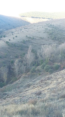 Photo 3 de Bergasillas Somera