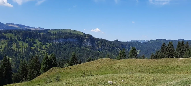 Photo 2 de Riedbergpass