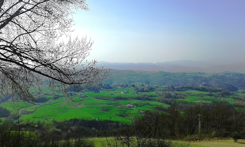 Photo 2 de Pedaggera