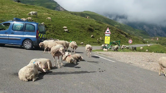 Photo 3 de Col du Soulor