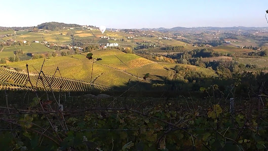 Photo 1 de Novello