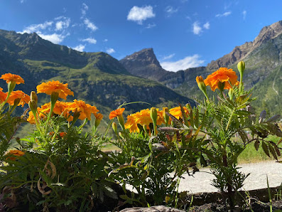 Photo 2 de Alpe Devero