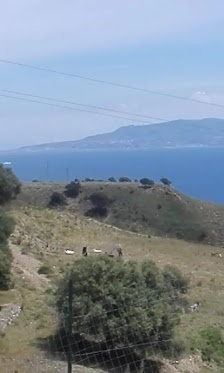 Photo 2 de Pezzolo