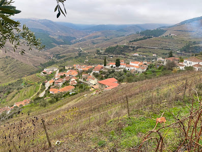 Photo 1 de Gouvinhas
