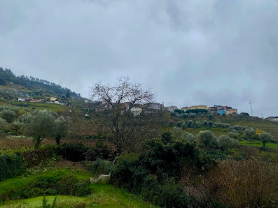 Photo 2 de Gouvinhas