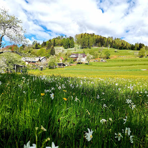 Photo 1 de Plavski Rovt