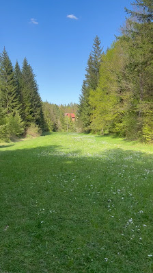 Photo 2 de Rakitna