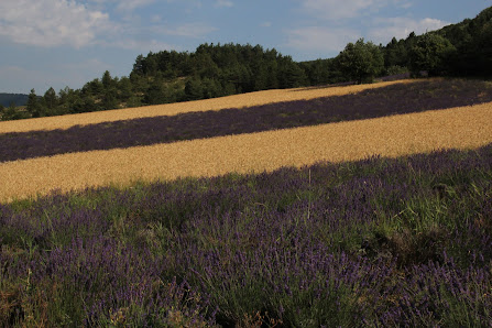 Photo 1 de Col de la Pigière
