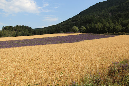 Photo 2 de Col de la Pigière
