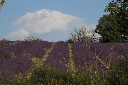 Photo 3 de Col de la Pigière
