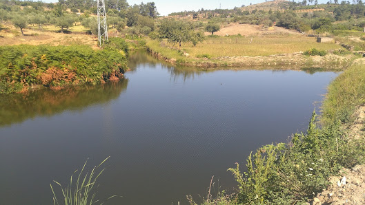 Photo 1 de Lagoaça