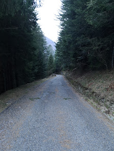 Photo 2 de Baita del Grumello