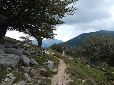 Photo 1 de Col de Verde