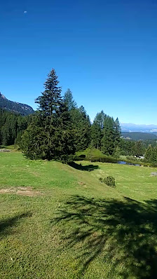 Photo 3 de Passo Carezza