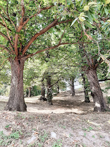 Photo 1 de Lanza Serra