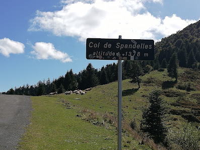 Photo 1 de Col de Spandelles