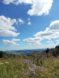 Photo 1 de Alberice