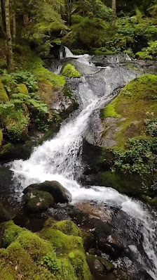 Photo 1 de Le Chiroulet