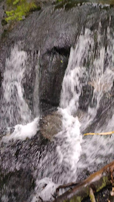 Photo 3 de Le Chiroulet