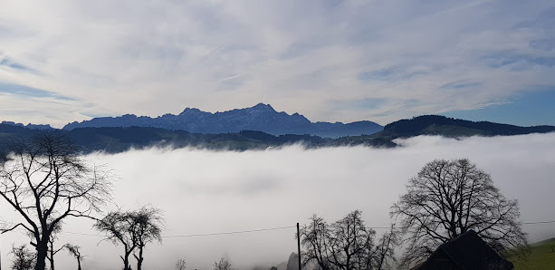 Photo 1 de Eggersriet