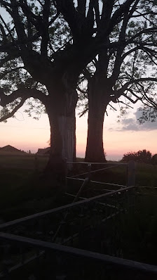 Photo 2 de Eggersriet