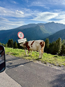 Photo 2 de Solkpass