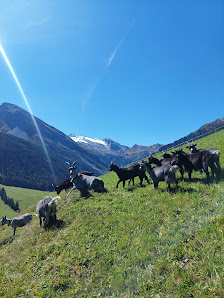 Photo 1 de Tuxer Alpen