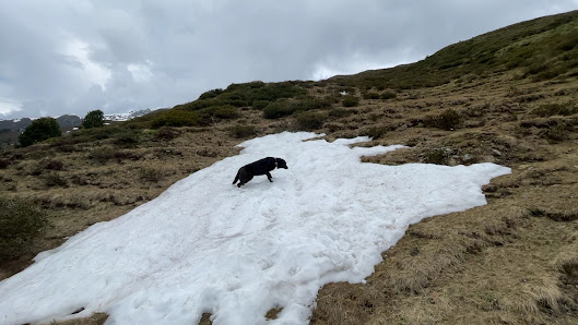 Photo 3 de Tuxer Alpen