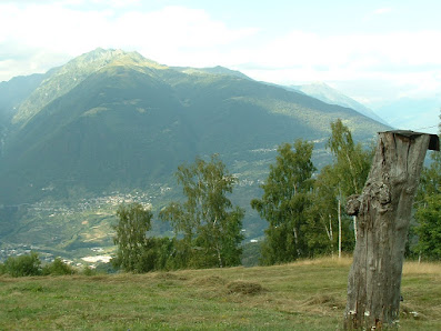 Photo 1 de Briotti