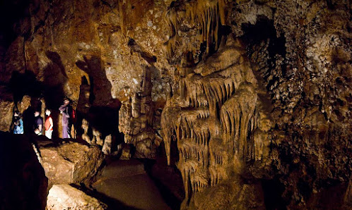 Photo 1 de Coves de Salnitre