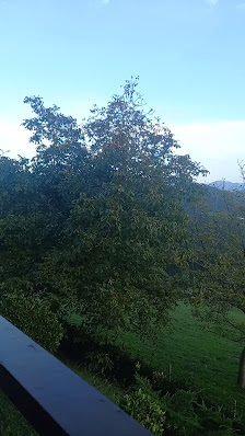 Photo 3 de Goiuria