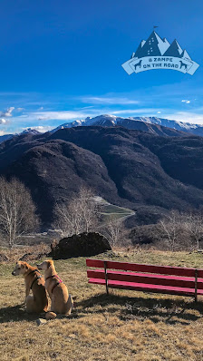 Photo 2 de Monti di Torricella