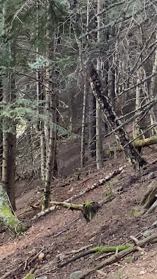 Photo 3 de Col de Jou