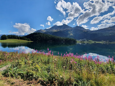 Photo 1 de Selvaplana