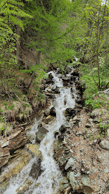 Photo 3 de Selvaplana