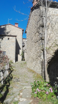 Photo 1 de Rocca Ricciarda