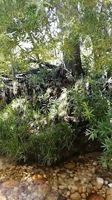 Photo 3 de Bainskloofpas