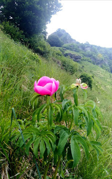 Photo 1 de San Nazzaro Val Cavargna