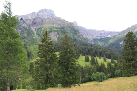 Photo 2 de Col du Pillon