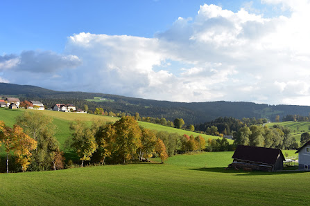 Photo 1 de Strallegg