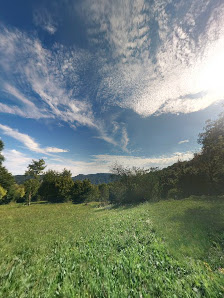 Photo 2 de Teglie