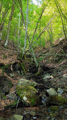 Photo 1 de Cattaragna